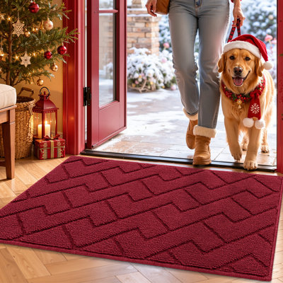 Premium Dirt Catching Durable Washable Door Mat