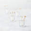 Jupiter Clear Shot Glass Cup 4oz