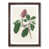 Walnut Framed selected