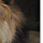 «Vidur», portrait d'un lion mâle », impression sur toile tendue-22070730