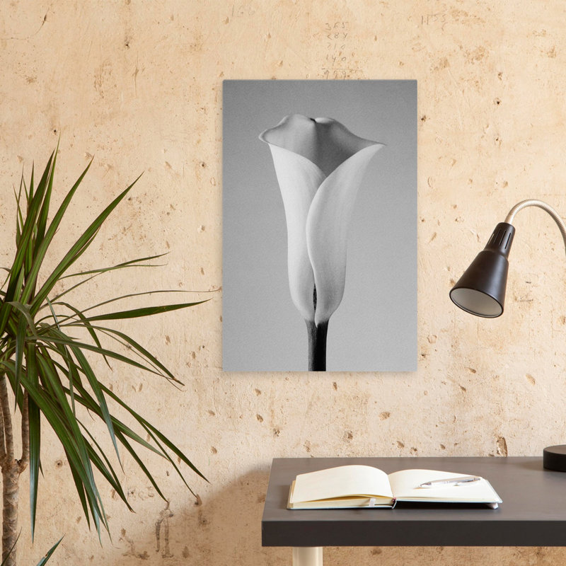 Calla n ° 1 - art floral et nature morte, H 24 po x l 16 po