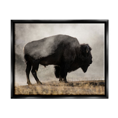 " Powerful Bison Grazing Foggy Rural Pasture " Oil Painting