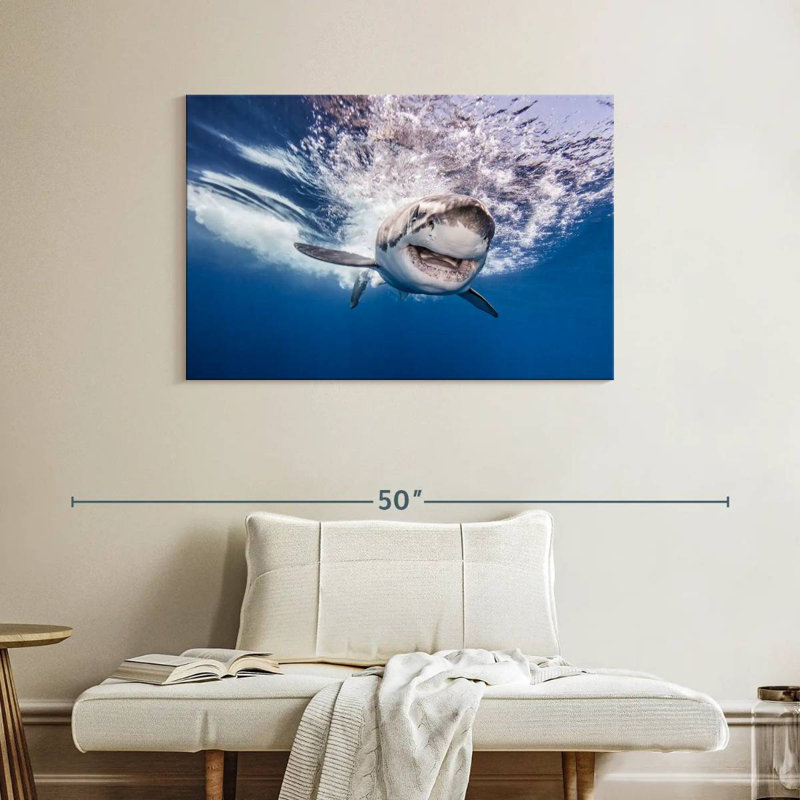Brampt Happy Shark, 26'' H x 39'' W