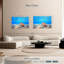 Seashell treasure Aletra-108690726