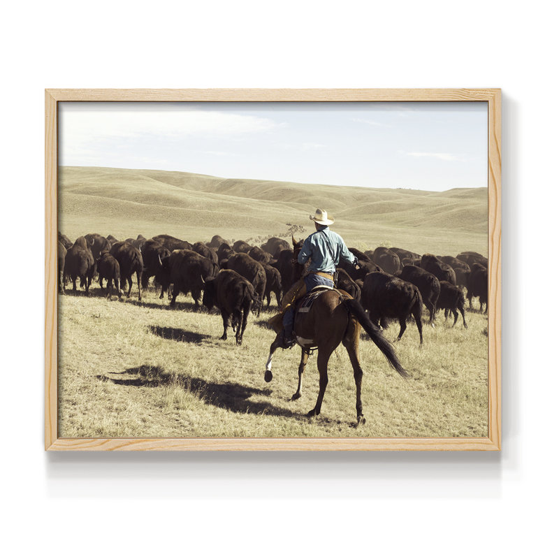 Bison Roundup -Framed Print - Restickable