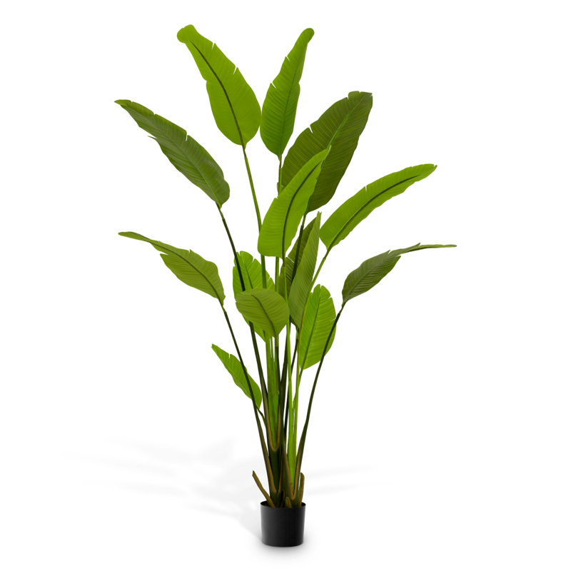 Artificial Plant Strelitzia Green, 70.87" x 39.37"