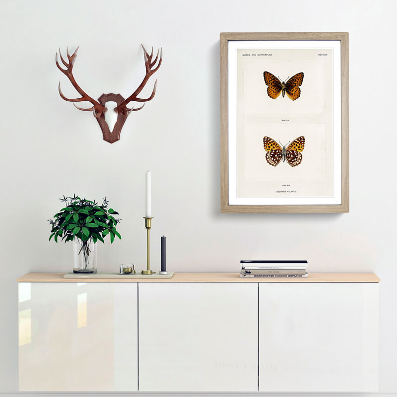 Atlantis Fritillary Butterfly by S.F. Denton - Framed Print, Oak Framed, 63cm H x 45cm W x 2cm D