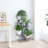 Secrist Solid Wood Plant Stand 5 Tier