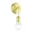 Satin Brass