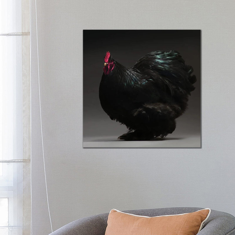 Cochin Bantam - Wrapped Canvas Print, 66.04 cm H x 66.04 cm W x 1.91 cm D