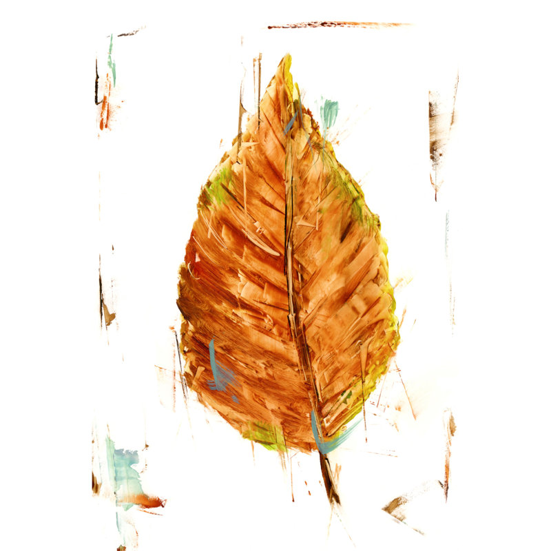 Autumn Leaf Study III by Ethan Harper - Wrapped Canvas Painting, Wrapped Canvas, 76 cm H x 51 cm W