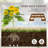 Jaworski Wood Raised Garden Bed