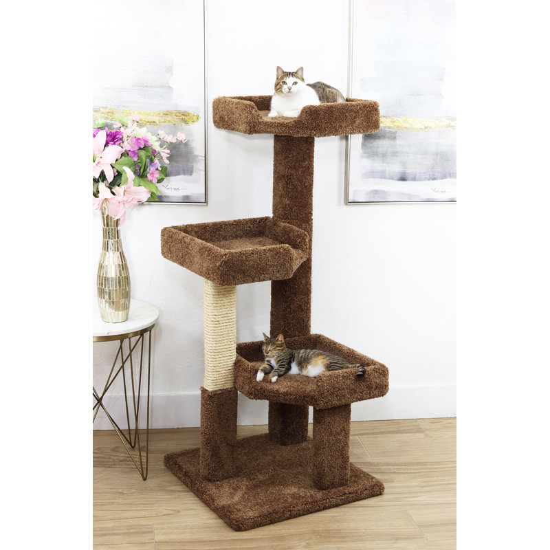 Arbre à chat, Brun, H 51 po x l 22 po x P 22 po