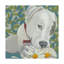 « dogs patch », reproduction d’impression sur toile tendue-33517018