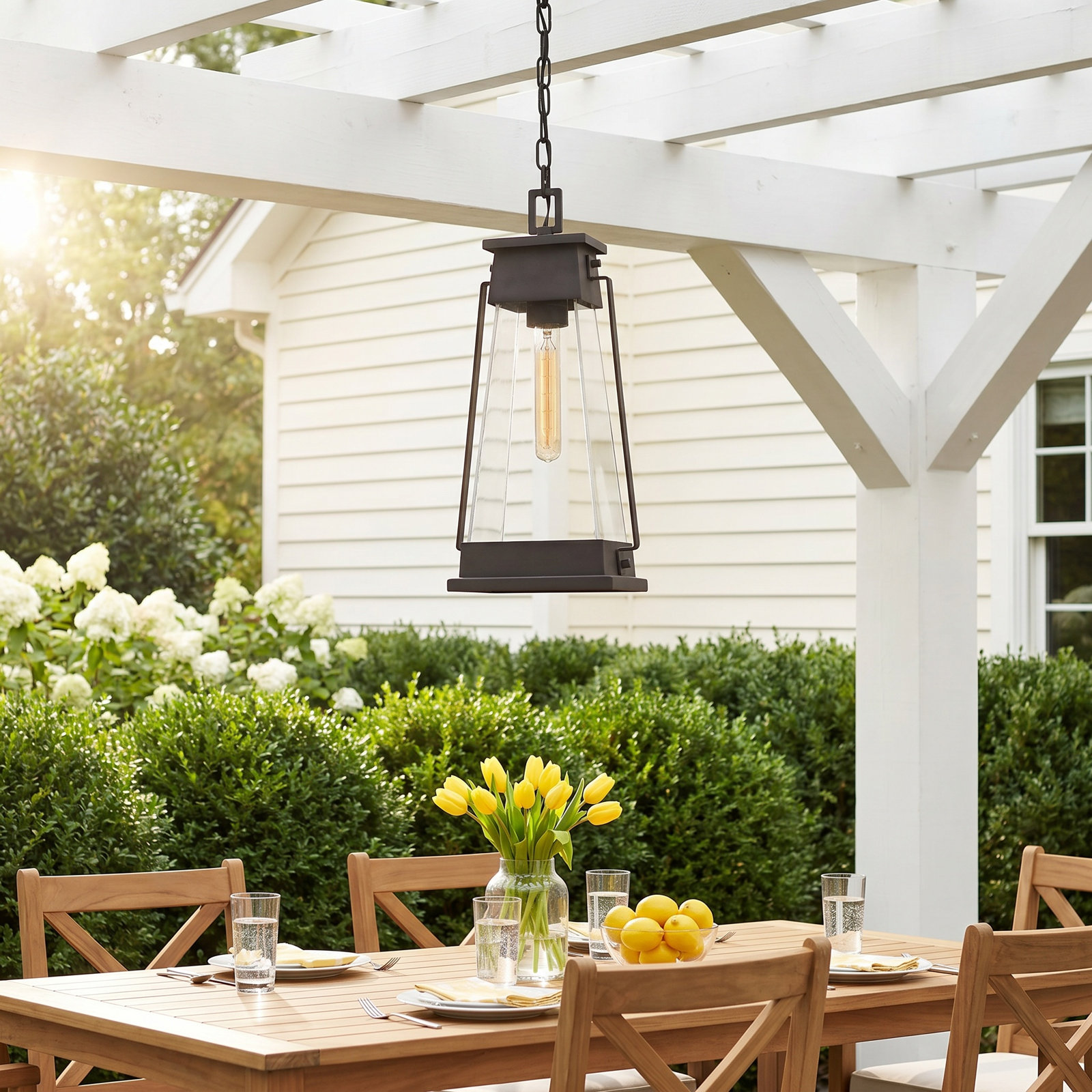 Transparent Outdoor Pendant