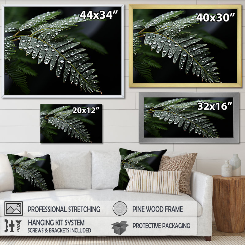 «Ferns Charm in Winter», reproduction sur toile, H 30 po x l 40 po x P 1,5 po, Cadre simple argenté