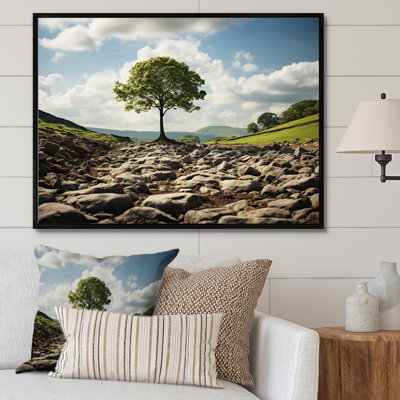 " Green Tree In Field "