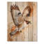 Hawk On The Hunt II - Impression moderne en bois brun sur bois de pin naturel-1025154706