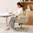 Anmol Office Chair with Lumbar Support-434782279-434782277