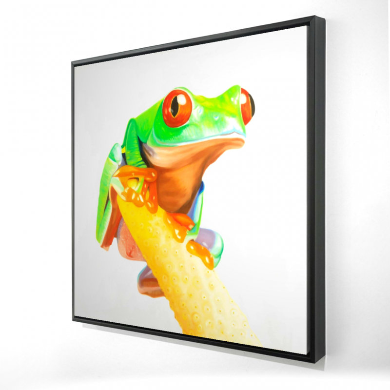 " Curious Red Eyed Frog "