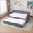 Daybed Twin Size Upholstered with Trundle Sofa Bed for Bedroom Living Room Guest Room | Light Gray | MDF+Iron,Velvet-1824238965