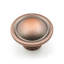 CK Series Mushroom Knob-12829778-12829784
