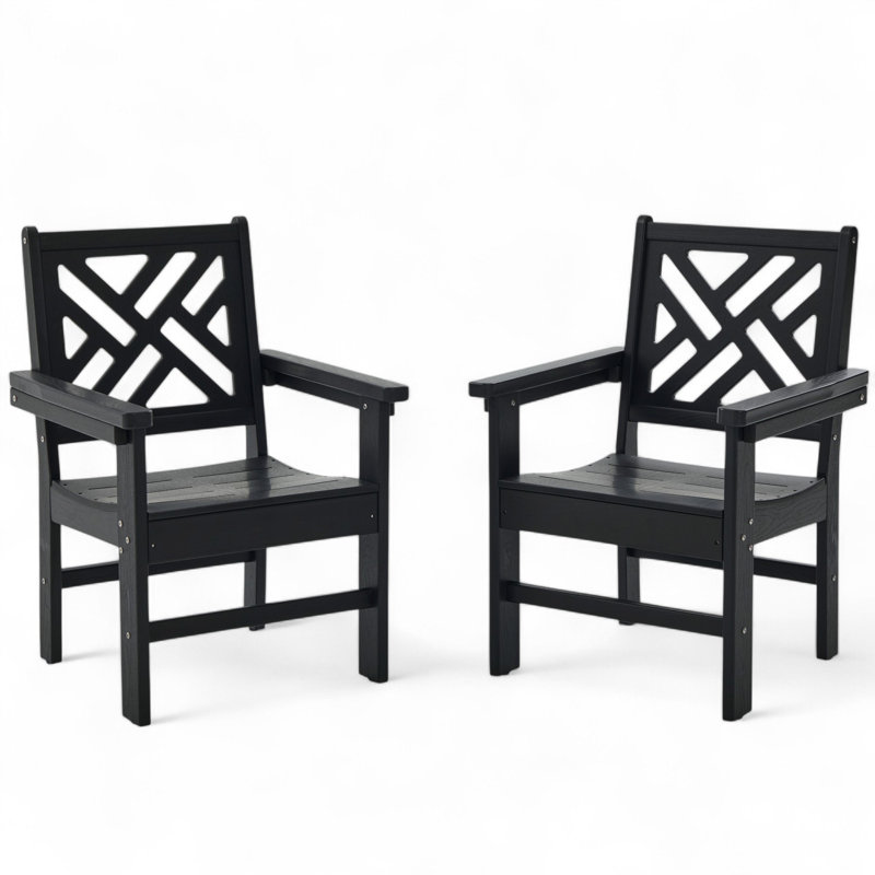 Ensemble de chaises d'extérieur 2 pièces Hdpe - Chaises de patio toutes saisons avec accoudoirs pour bistro, restaurant, jardin, cour, noir