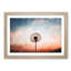 Dandelion - Picture Frame Painting Print-56708729-56708734