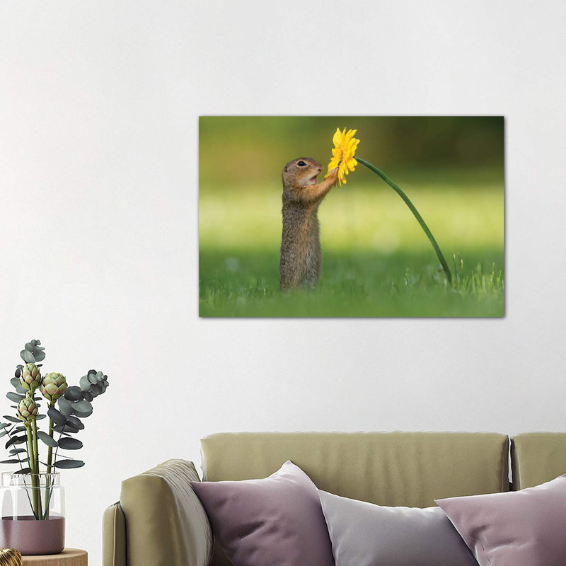 Curious Ground Squirrel by Dick Van Duijn - Wrapped Canvas Print, 101.6 cm H x 66.04 cm W x 1.91 cm D
