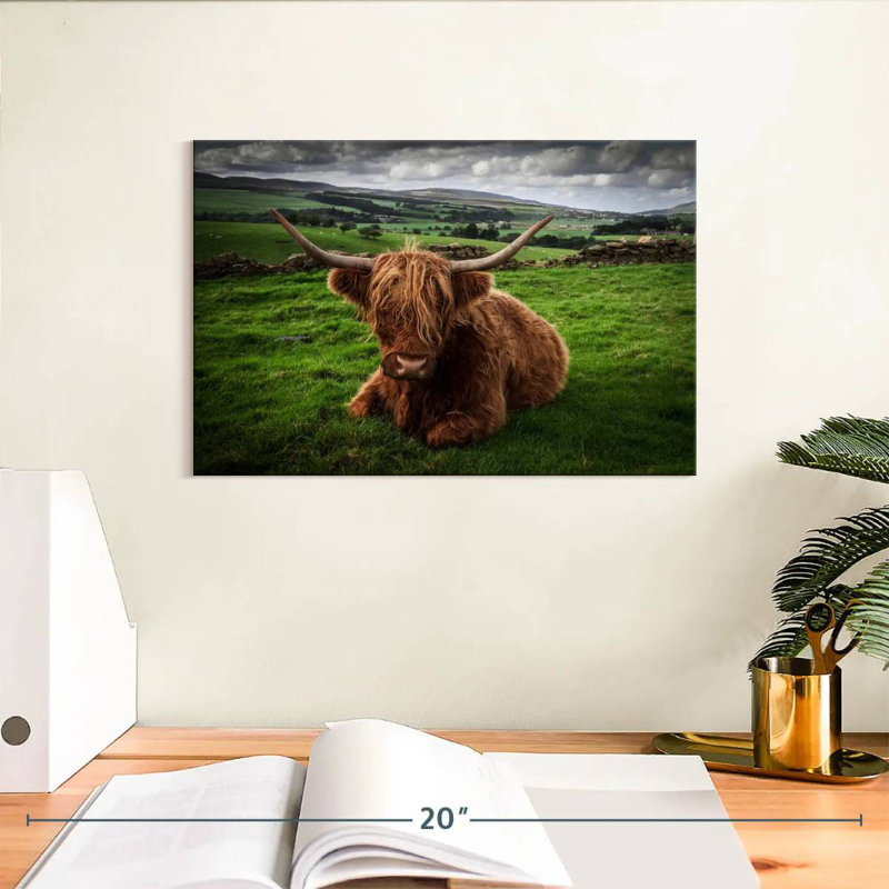 Brampt Mellow Highland Cow, 8" H x 12" W