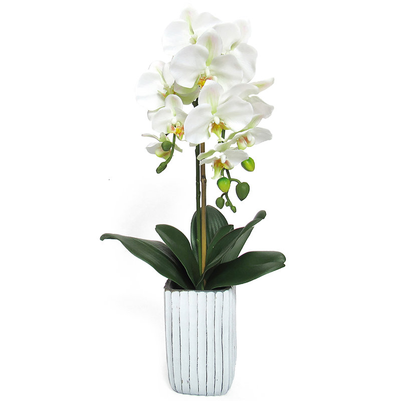 Centres de table orchidées phalaenopsis en pot, H 26 po x l 9 po x P 8 po