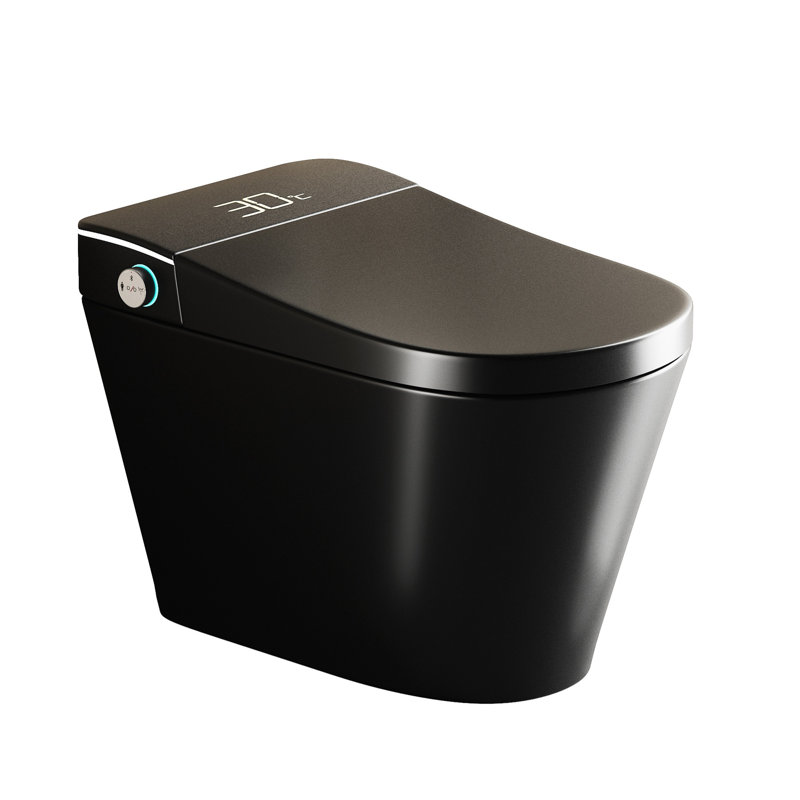 Unique Smart Toile,  One Piece Toilet With Bidet Built In,Intelligent Toilet Auto Open/Close Seat. Bidet Toilet With Dryer And Warm Water.BLACK
