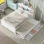 Twin Size Platform Bed With Storage Headboard, USB, Twin Size Trundle And 3 Drawers-1399820579-1399820576