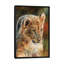« lion cub », impression sur toile-33109528-72413602-72413634