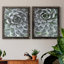 Zen Succulent III - ensemble de 2 reproductions de photos encadrées-998364398-998432601-998432600