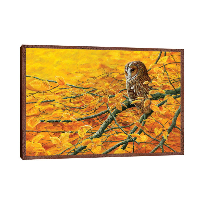Golden Light Tawny Owl by Jeremy Paul - Painting on Canvas, Classic Brown Wood Framed, 45.72cm H x 66.04cm W x 3.81cm D