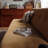 Mid-Century Corduroy Armless Foldable Sofa