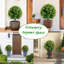 Plant-2042025731