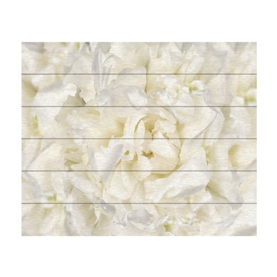 Fleur de pivoine blanche par Cora Niele - reproduction sur bois sans cadre