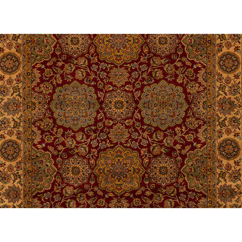 Wool Oriental Area Rug in Gold