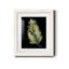 Frond - reproduction de cadre photo sur papier-424094335-424094208