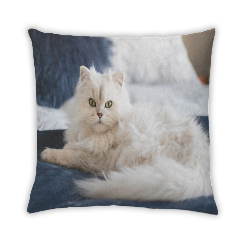 Throw Pillow, Microsuede