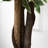 Charleston 160cm Faux Ficus Tree in Pot