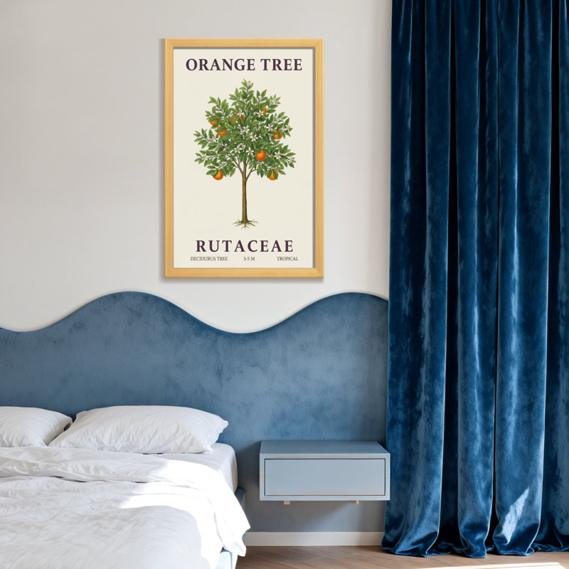 Plantes et fleurs - Illustration botanique d'un arbre orange, Toile tendue, Ne s’applique pas, H 18 po x l 12 po