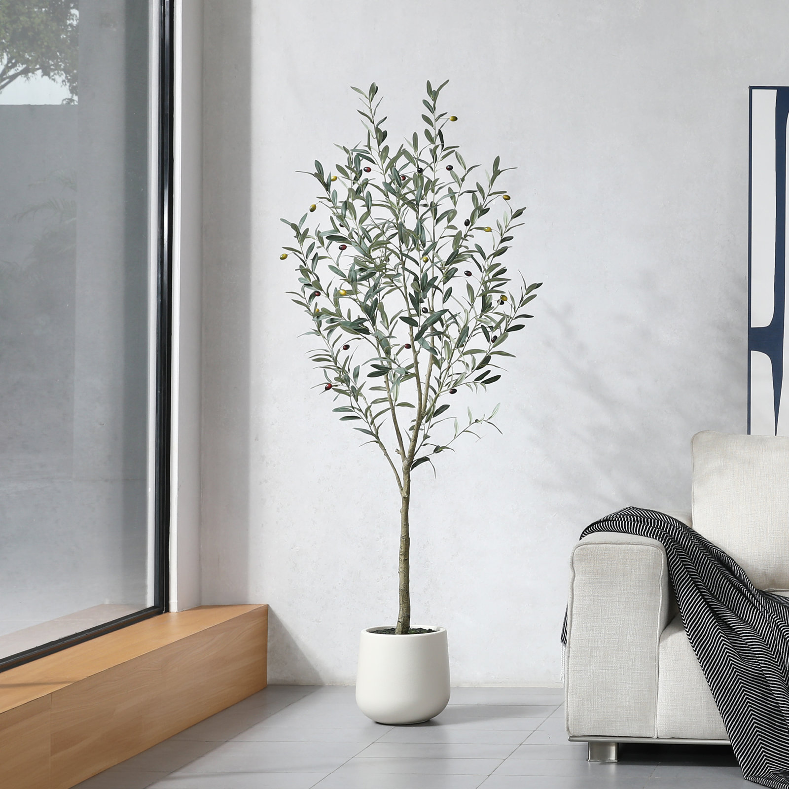 Adcock Olive Tree in Pot, 72" H x 24" W x 24" D