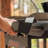 Blackstone 36" Omnivore Griddle with Hard Cover and Extendable Side Shelf