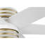 Ventilateur de plafond standard Carrollwood de 56 po à 6 pales avec télécommande et ensemble d'éclairage DEL inclus-1852390438