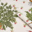 Green Grocer Wallpaper-259289402