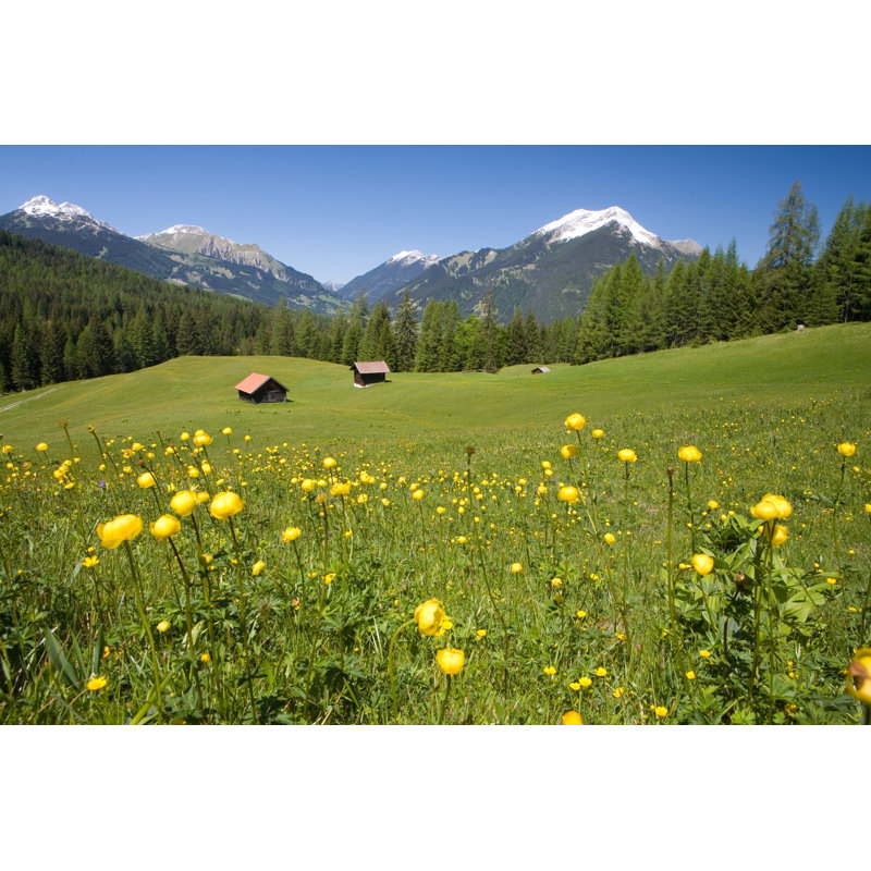 Tyrolean Summer Meadow by Wingmar - Wrapped Canvas Print, 30cm H x 46cm W