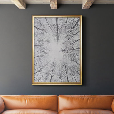 " Deciduous Canopy I "